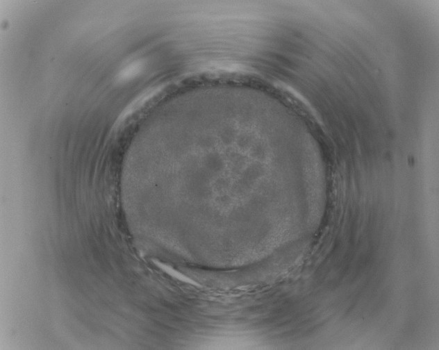 X0000078310919200611251529