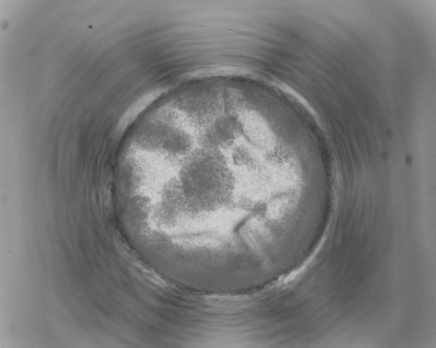 X0000078310921200611251529