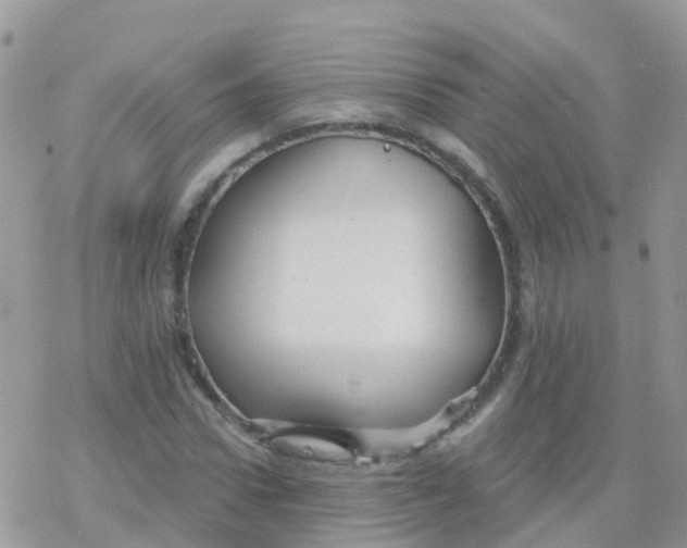 X0000078310922200611251529