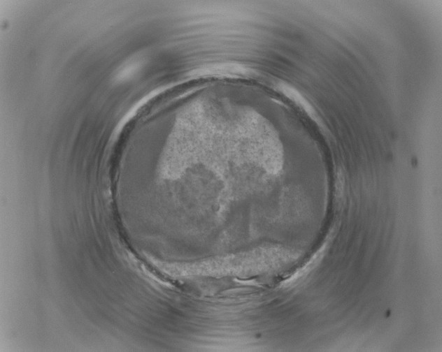 X0000078310923200611251529