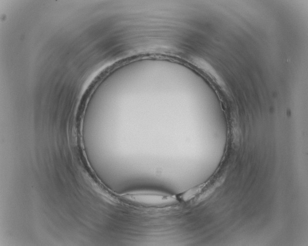 X0000078310924200611251530