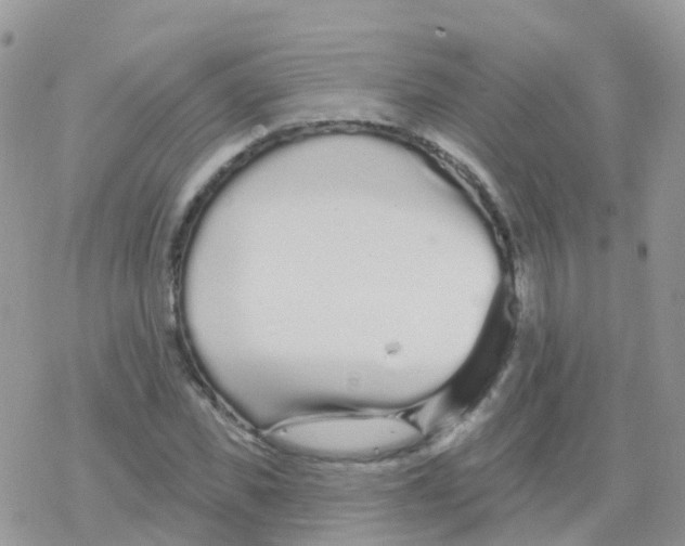 X0000078310925200611251530