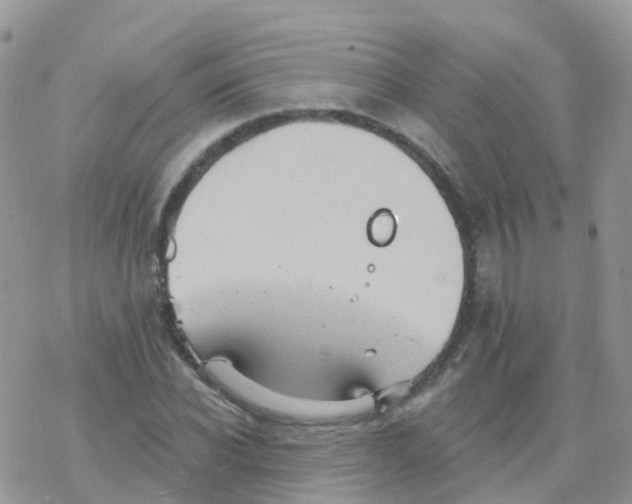 X0000078310926200611251530