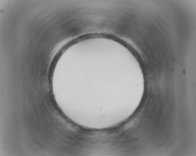 X0000078310927200611251530