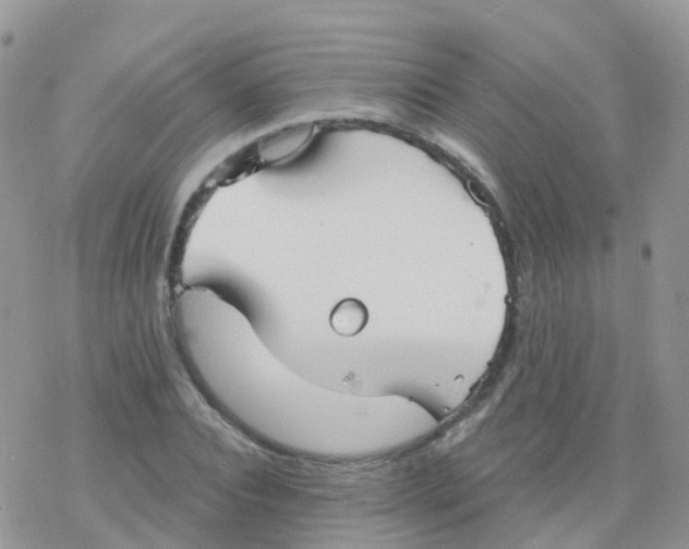 X0000078310928200611251530