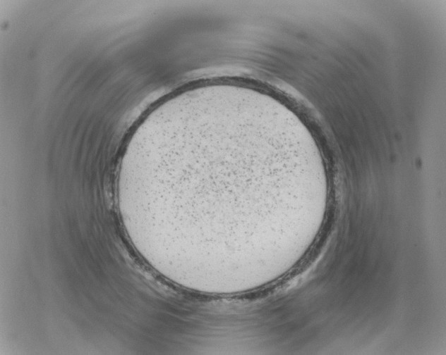 X0000078310929200611251530