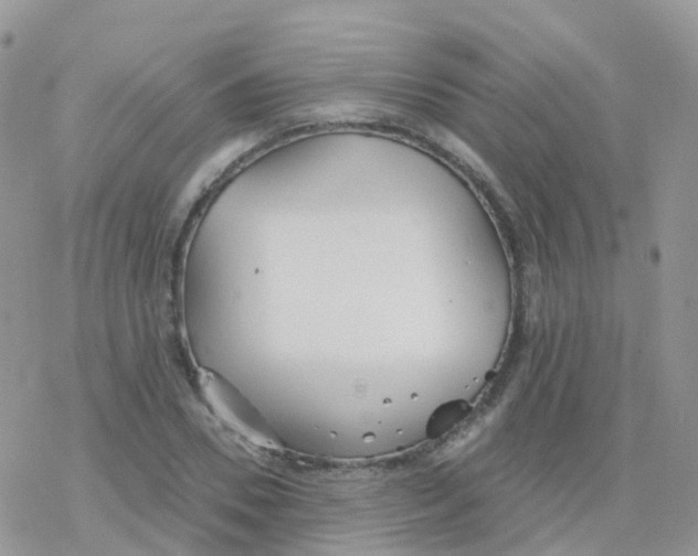 X0000078310930200611251530