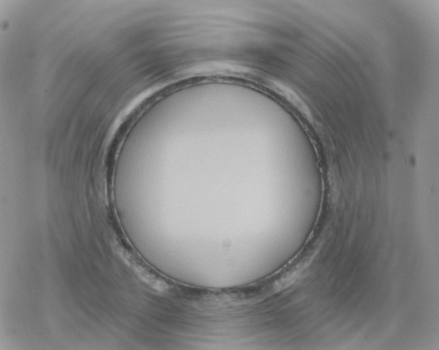 X0000078310931200611251530