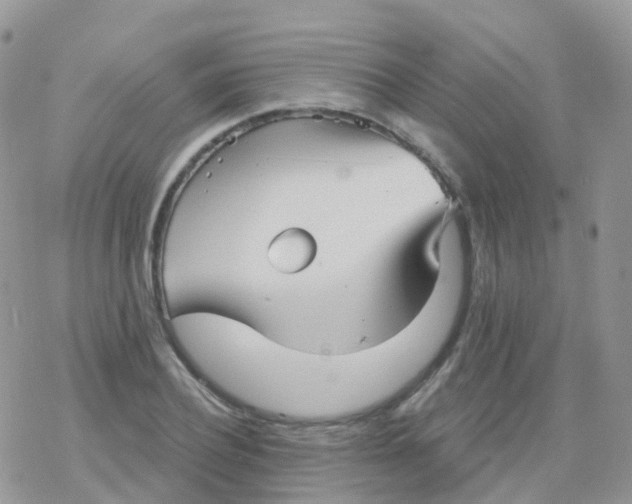 X0000078310932200611251530