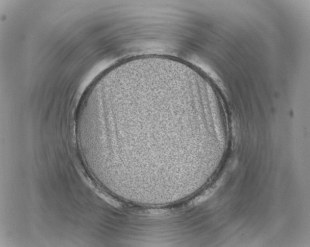 X0000078310933200611251530