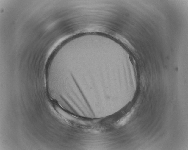 X0000078310934200611251530