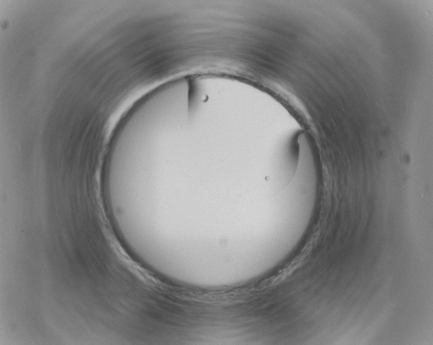 X0000078310936200611251530