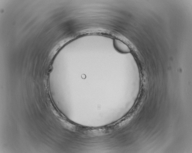 X0000078310937200611251530