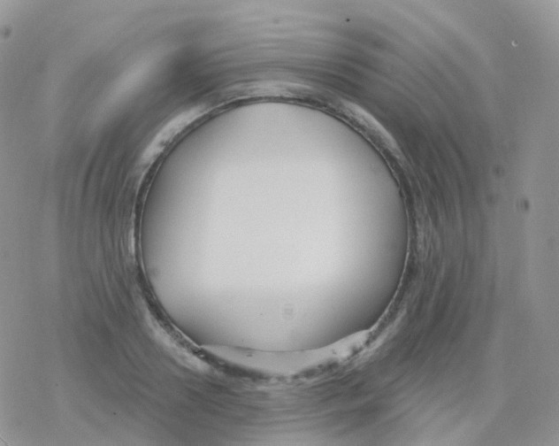 X0000078310938200611251530