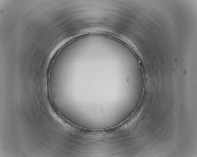 X0000078310939200611251530