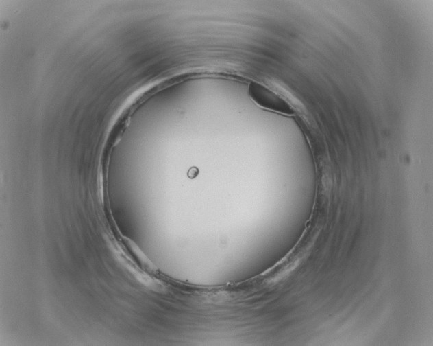 X0000078310940200611251530