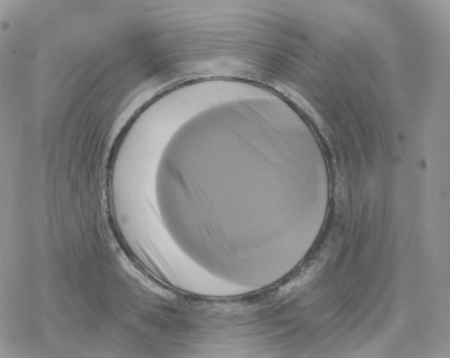 X0000078310941200611251530