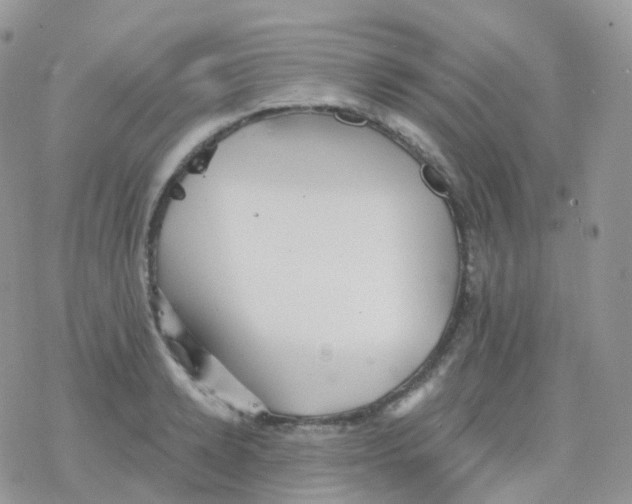 X0000078310942200611251530