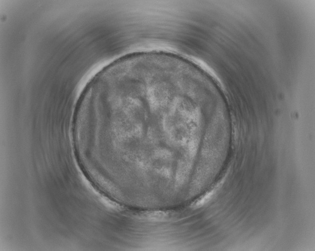 X0000078310943200611251530