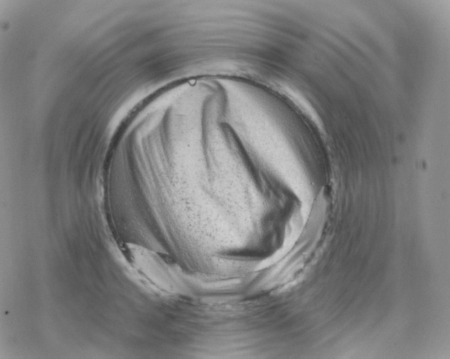 X0000078310944200611251530