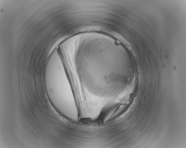 X0000078310945200611251530