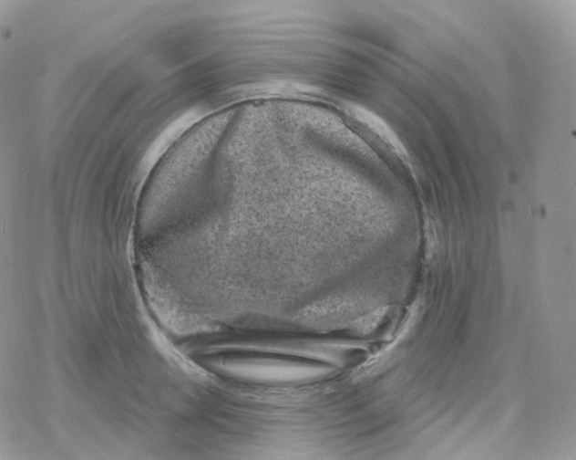 X0000078310946200611251530