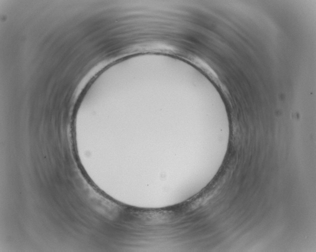 X0000078310947200611251530