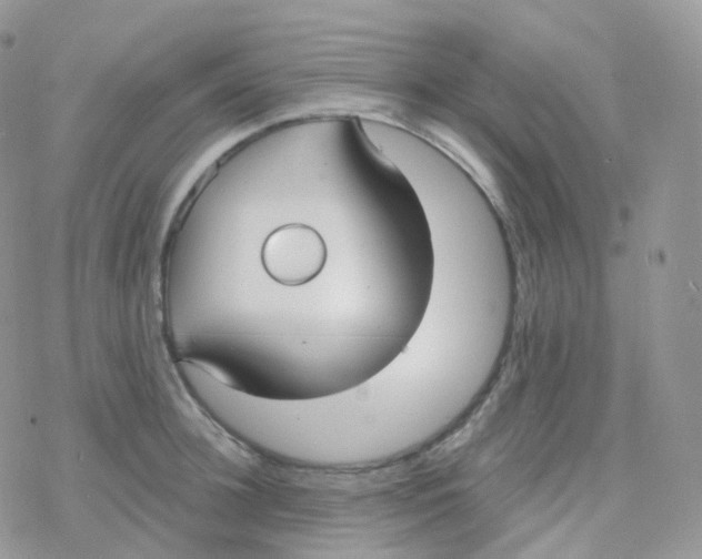 X0000078310948200611251530