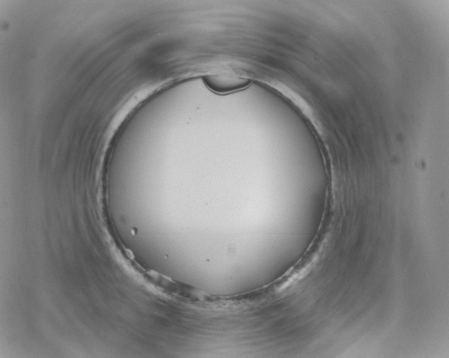 X0000078310949200611251530