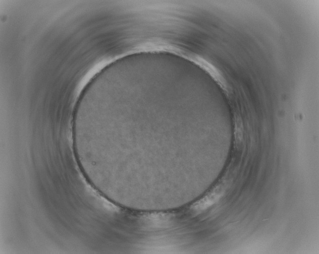 X0000078310950200611251530