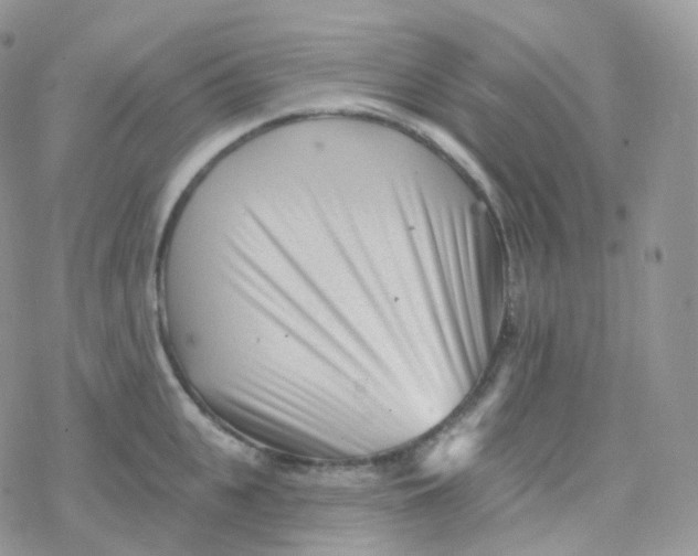 X0000078310951200611251530