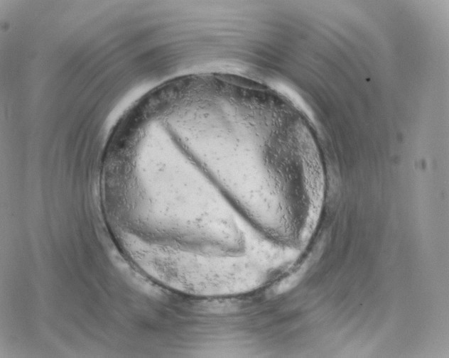 X0000078310952200611251530