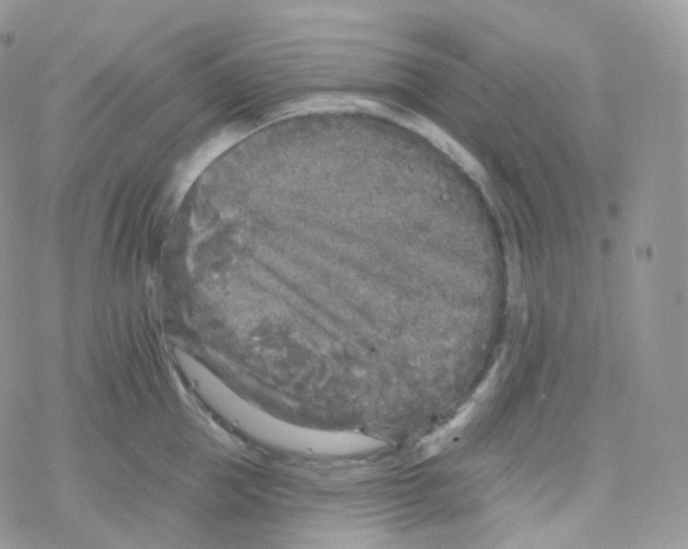 X0000078310953200611251530