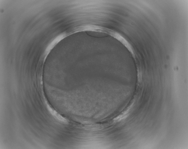 X0000078310954200611251530