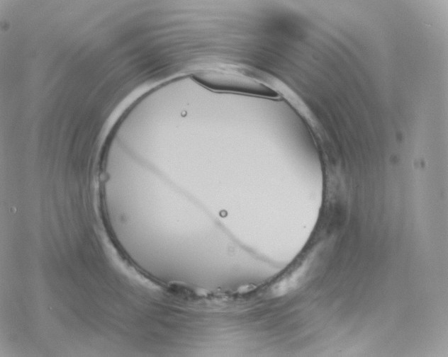 X0000078310955200611251530