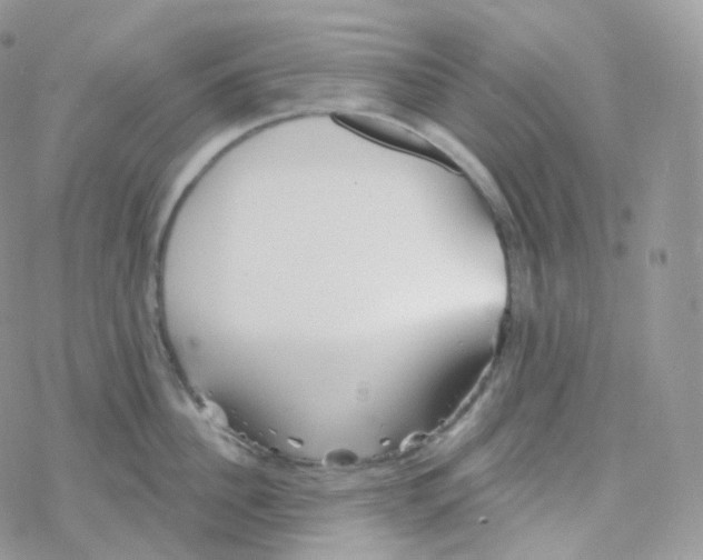 X0000078310956200611251530