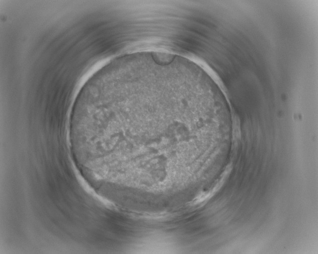 X0000078310957200611251530