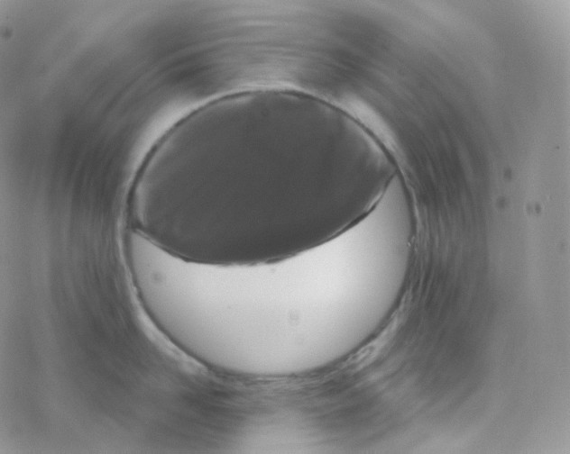 X0000078310958200611251530