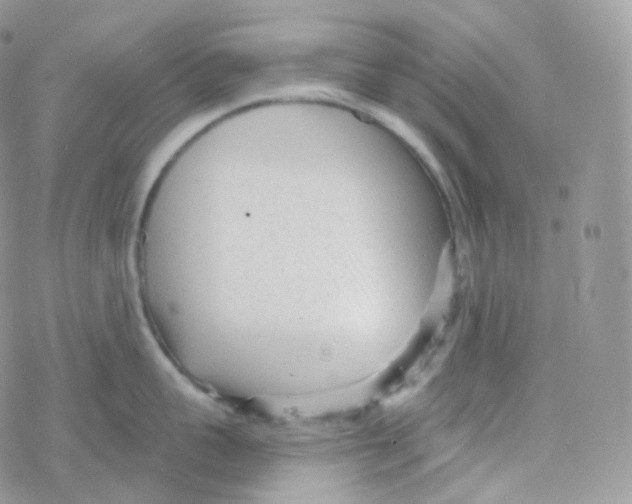 X0000078310959200611251530