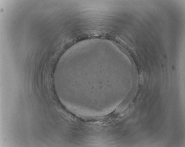 X0000078310961200611251529