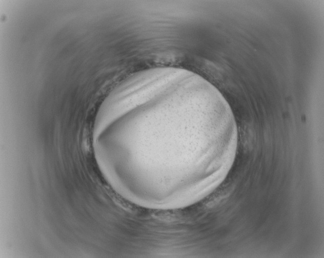 X0000078310962200611251529