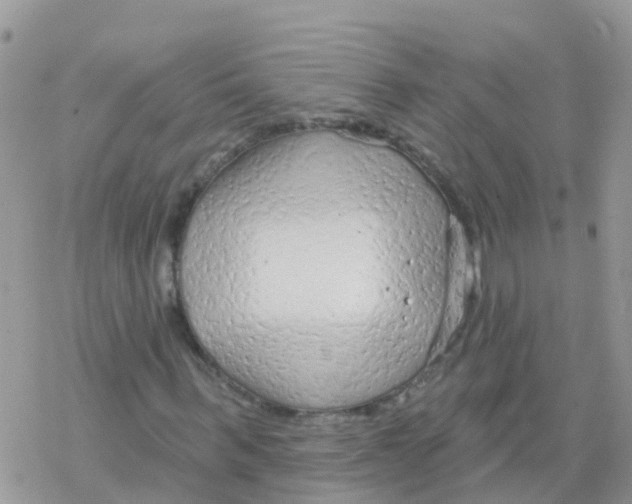 X0000078310963200611251529