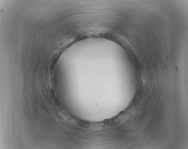 X0000078310964200611251529