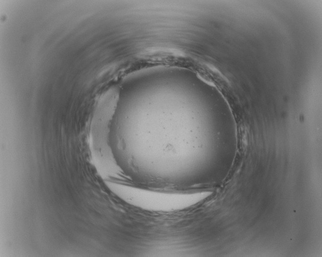 X0000078310965200611251529