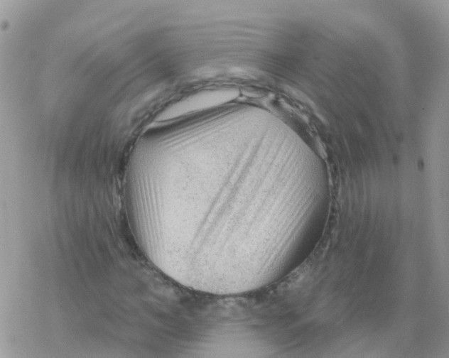 X0000078310966200611251529