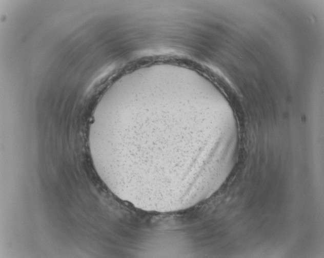 X0000078310967200611251529