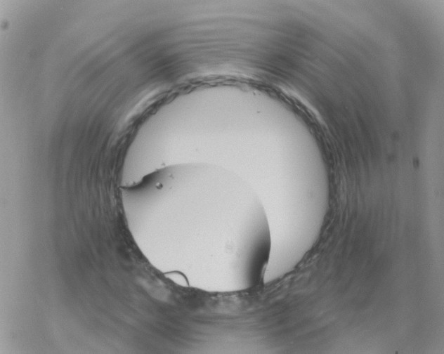 X0000078310968200611251529