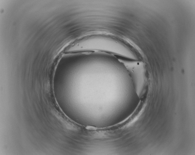 X0000078310969200611251529