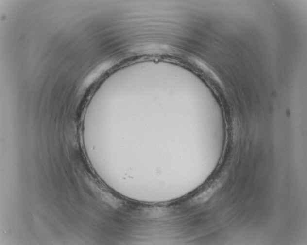 X0000078310970200611251529