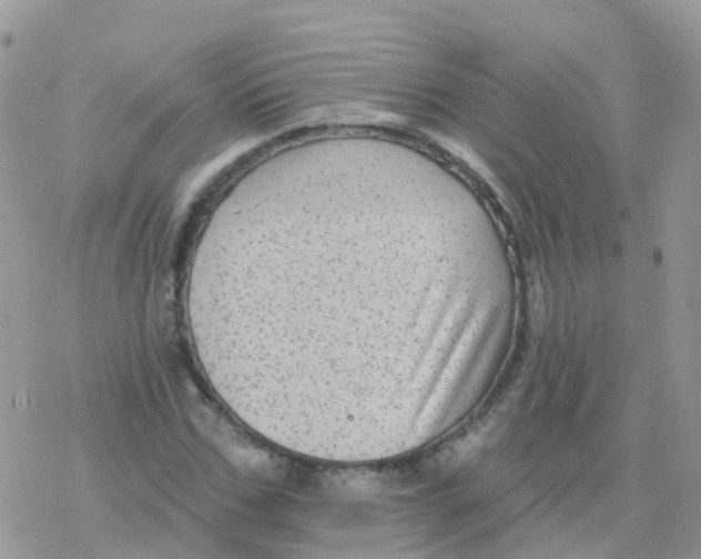 X0000078310971200611251529